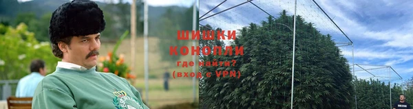 стафф Навашино