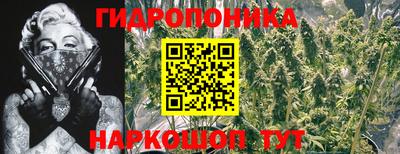 стаф Аргун