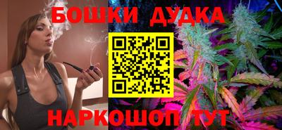 индика Абакан
