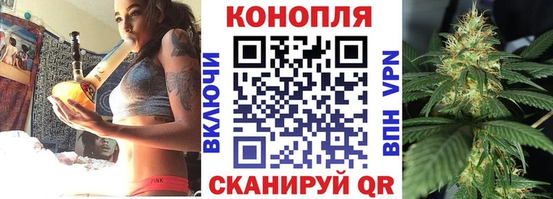 как найти   Миасс  Бошки марихуана сатива 
